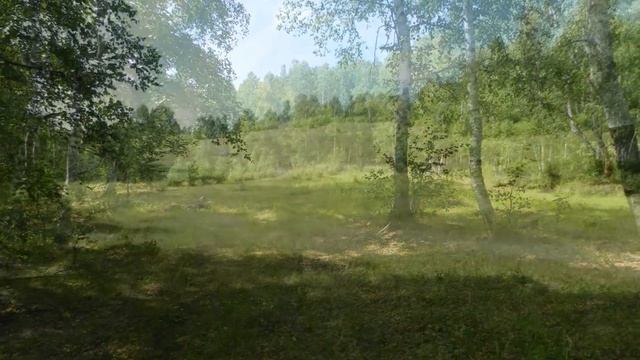 Вершино-Дарасунский
