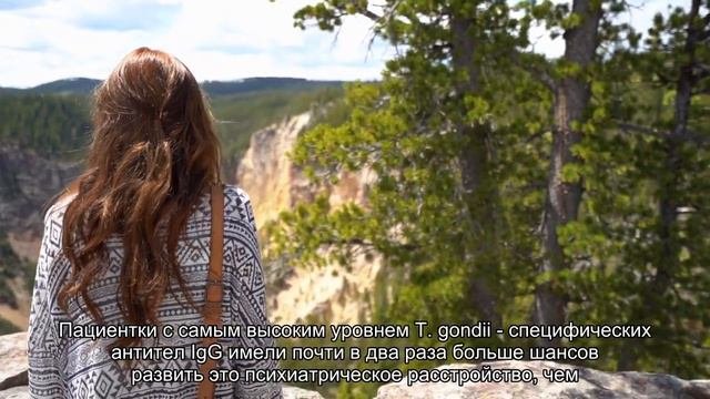 Токсоплазмоз приводит к шизофрении