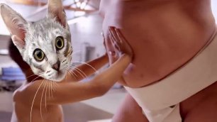 Funny Doritos Commercial _ Sumo Doritos vs Cat Memes.mp4