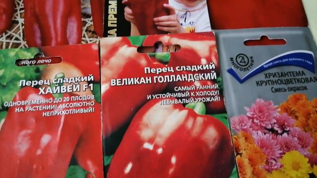 #посевперца #рассада #однолетниецветы     Посев перца, лобелии, хризантемы.