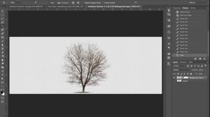 Using Photoshop CC's Color Overlay On A Photograph