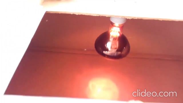 Брудер из коробки смотреть онлайн