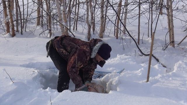 Всё ещё снимаем шкурку сжирной лисицы - 4 смотреть онлайн