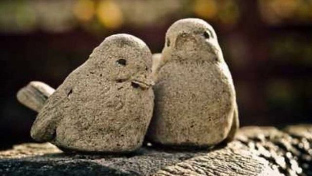 Got Bachata Music - Tu Dueño Eterno - Chelion смотреть онлайн