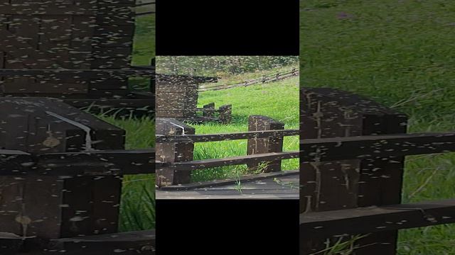 1000042396.mp4