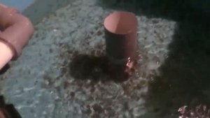 Сортировка малька клариевого сома в УЗВ