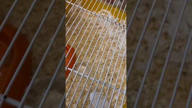 2 февраля 2024 г. смотреть онлайн