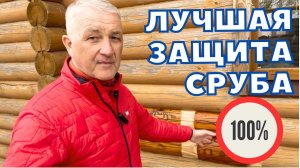 СПАСАЕМ СРУБ ОТ ЖУКА