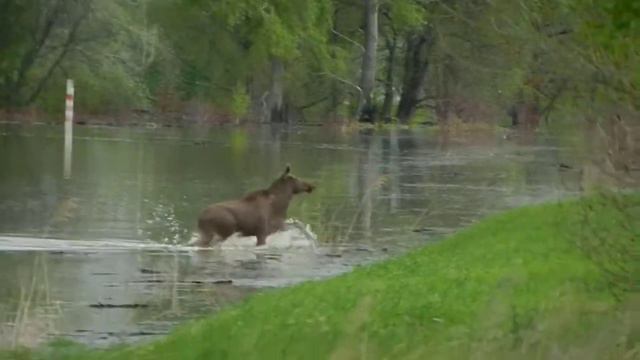 DSCN4515 смотреть онлайн