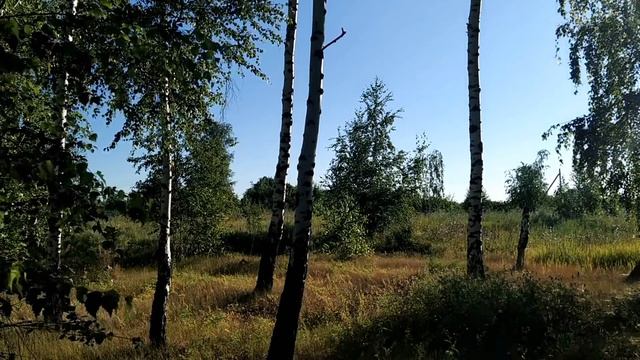 27 июля-ДЕНЬ СТЕФАНА ЧУДОТВОРЦА. Это нельзя делать незамужним.Приметы