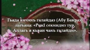 Пайгъамбаррин везифа (2-кьатI, лезги чIалал).