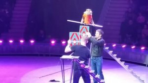Обезьянки на арене цирка. Симферополь