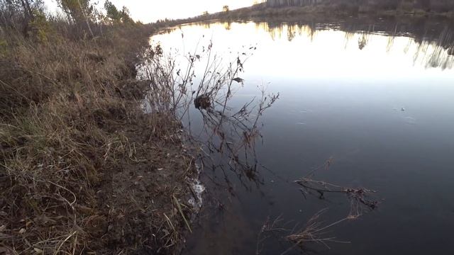 Тренажерный зал. Выезд в лес. Выход вентиляции на крыше. смотреть онлайн