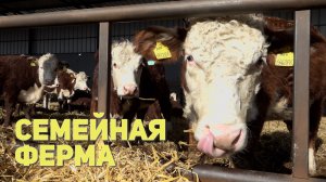 Семейная ферма