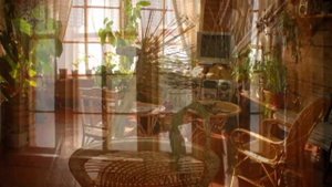 Турбаза Тенгри