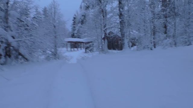 ЖИВУ В ВЕТХОЙ ИЗБЕ / СЕГОДНЯ НАТКНУЛСЯ НА БОЛЬШУЮ СТАЮ КОСАЧЕЙ / ОХОТА НА БОРОВУЮ ДИЧЬ В ГЛУХОЗИМЬЕ смотреть онлайн