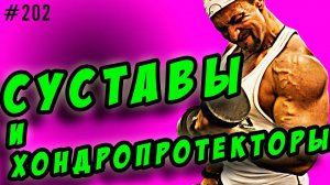 хондроитин, глюкозамин msm | суставы и хондропротекторы отзывы