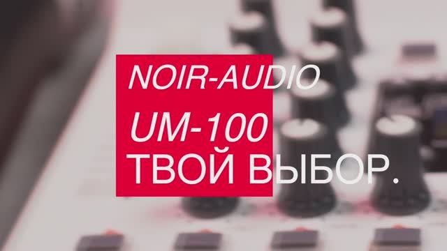 Караоке система NOIR-audio UM-100 с двумя беспроводными микрофонами и ...