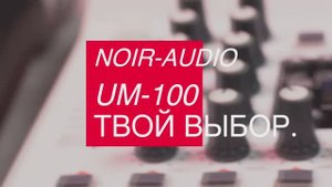 Караоке система NOIR-audio UM-100 с двумя беспроводными микрофонами и микшером с Bluetooth, USB