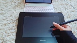 ★ Gaomon PD1220 Review ★