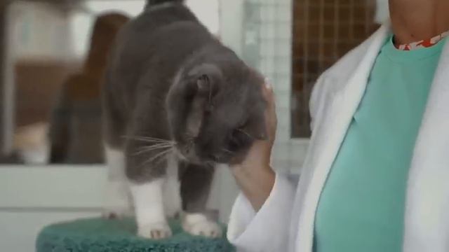 Ролик 2Д МЫ ВМЕСТЕ разговоры о важном 4 декабря 2023 классный час для СПО смотреть онлайн