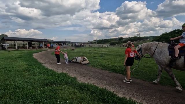 КУДЫКИНА ГОРА. Парк, мимо которого нельзя проезжать! Обзор парка, июль 2023. смотреть онлайн