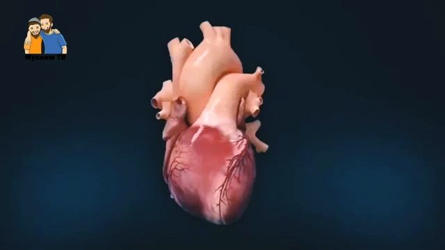 Фаррух Соипов | ТАЛБИНА смотреть онлайн