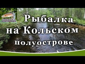 Рыбалка на Кольском полуострове. Форель в Мурманской области. Август 2019