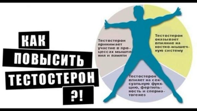 КАК УВЕЛИЧИТЬ ТЕСТОСТЕРОН ЕСТЕСТВЕННЫМ ОБРАЗОМ смотреть онлайн видео от ...