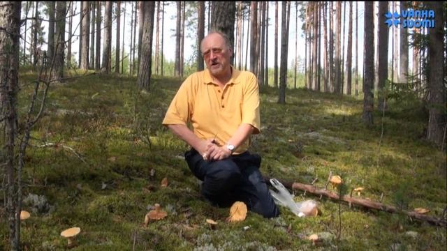 Природа Финляндии. Колпак кольчатый