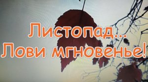Листопад...Лови мгновенье! (Мои стихи и футажи)