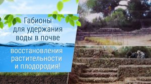 Габионы в Мексике!