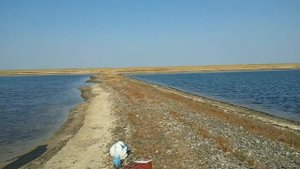 Арабатская стрелка Отдых Рыбалка (ловля на креветку)