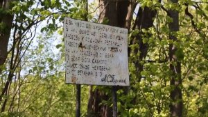 Внучка Пушкина - Мезенцова В.А., Рыхлово, Сережань