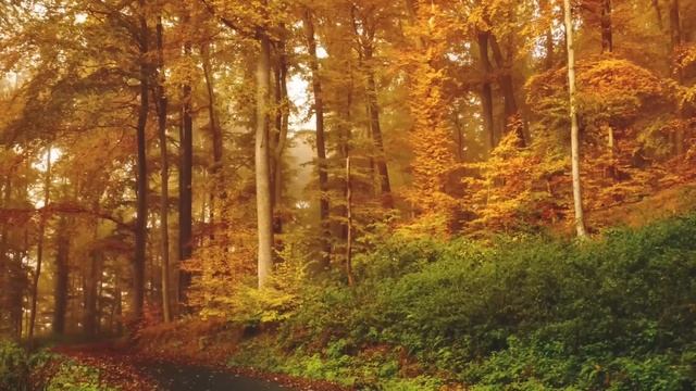 Девочка торговала соленьями на дороге. Едва подъехала дорогая машина и торговля на этом закончилась смотреть онлайн