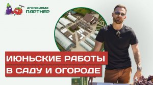 ИЮНЬСКИЕ РАБОТЫ В САДУ И ОГОРОДЕ: КАК ПОЛУЧИТЬ БОГАТЫЙ УРОЖАЙ