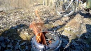 Щепочница... пиролиз... не пиролиз...
