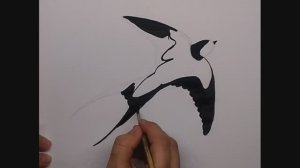 Как нарисовать ласточку // ласточка - простой рисунок \\ как нарисовать птицу