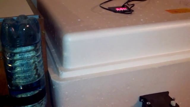 Инкубатор Блиц-120 (вывод бройлеров) часть 4 смотреть онлайн