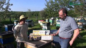 Акция! Дарим 100 Карамультуков от варроатоза пчел