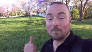 Джакаранда ? ДЖАКАРАНДА !