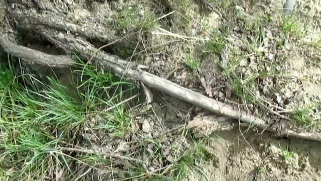 Это шок! Большие самородки золота, интересные камни, как найти?! смотреть онлайн