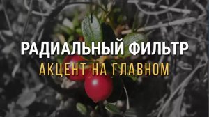 Радиальный фильтр — акцент на главном!