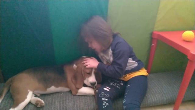 Бигль и дети смотреть онлайн