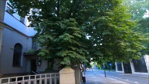 Москва, Малая Бронная.