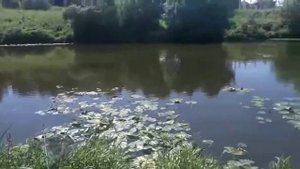 Рыбалка на ПАХРЕ. Какая рыба клюет после масштабного отравления.