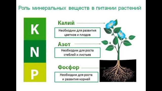 Плодородие почвы