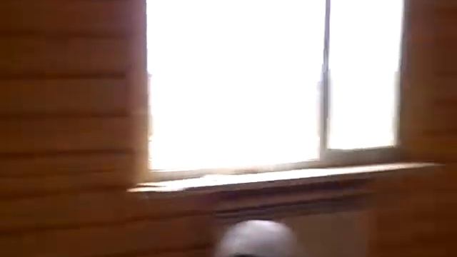 изготовление деревянного потолочного плинтуса