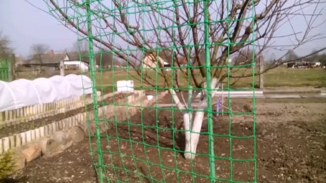 Тепличка для огурцов. Легко и незатратно