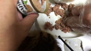 成猫/子猫の餌 ウェットフードの種類と説明解説 キャットフードのペット初心者知識・飼い方/飼う準備